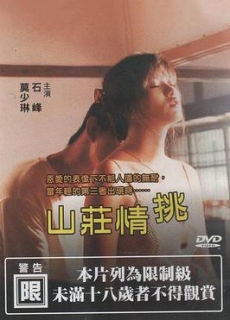 山庄情挑 (1997)